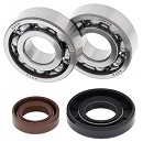 All Balls Krukaslager / Keerringset SX50 02-08