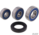 ALL BALLS Rear Wheel Bearingkit KLX110 02-26