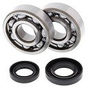 ALL BALLS Crank Bearing Kit CR80/85 85-07