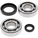 ALL BALLS Crank Bearing Kit CR500 84-01