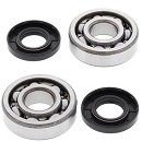 All Balls Crankshaft Bearing & Seal Kit KX60/65/80/85 83-25 / RM65 03-05