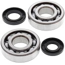 ALL BALLS Crank Bearing Kit KX250 87-01