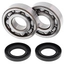 ALL BALLS Crank Bearing Kit KX500 83-04