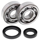ALL BALLS Crank Bearing Kit RM80/85 89-17