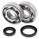 ALL BALLS Crank Bearing Kit RM125 89-08