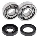 ALL BALLS Crank Bearing Kit YZ80/85 93-26