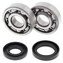 ALL BALLS Crank Bearing Kit YZ250 88-97 / | WR250 91-97