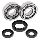 ALL BALLS Crank Bearing Kit YZ250 98-00