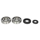 ALL BALLS Crank Bearing Kit YZ250 01-26