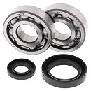 ALL BALLS Crank Bearing Kit CR250 92-07