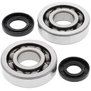 ALL BALLS Crank Bearing Kit KX250 02-08