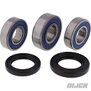Wheel Bearing Kit Rear DRZ400 00-25