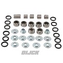 ALL BALLS  Linkage Bearing Kit BETA 09-21