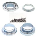 ALL BALLS Head Bearing Kit PW50 81-21