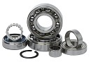 HOT ROD Transmission Bearing Kit KX 250 1993