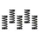 APICO Cl.Springs CRF250 04-09 (5pcs.)