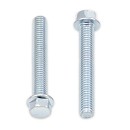 BOLT Hex Head Flange Bolt M6x30 (x10)