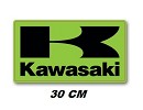 D'Cor KAWASAKI Icon Decal 12 Squared