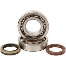 HOT RODS bearings and seals RMZ250 10-13