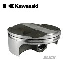 KX OEM Zuiger KXF250 19-20