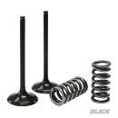 AOKI Intake Valve + Spring KXF250 07-08 STEEL (set of 2 pieces)