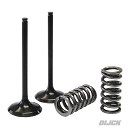 AOKI Intake Valve + Spring KXF250 11-16 STEEL (set of 2 pieces)