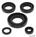 AOKI Oil Seal Kit complete LT50 02-05