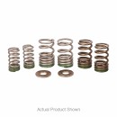 PRO CIRCUIT Valve Spring Set KXF250 25-26