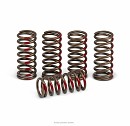 PRO CIRCUIT Clutch Springs CRF450 02-08