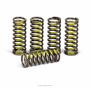 PRO CIRCUIT Clutch Springs RMZ450 05-19