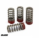 PRO CIRCUIT Valve Spring Set CR250F 16