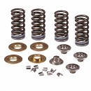 PRO CIRCUIT Valve Spring Kit 

CRF450 09-16