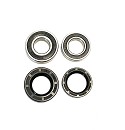 DIJCK Wheels Front Wheel Bearing Kit CRF 02-12