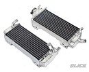 DIJCK Big Radiators Set RM125 01-13
