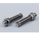 WORKS CONNECTION Titanium Axle Bolts European (x2)